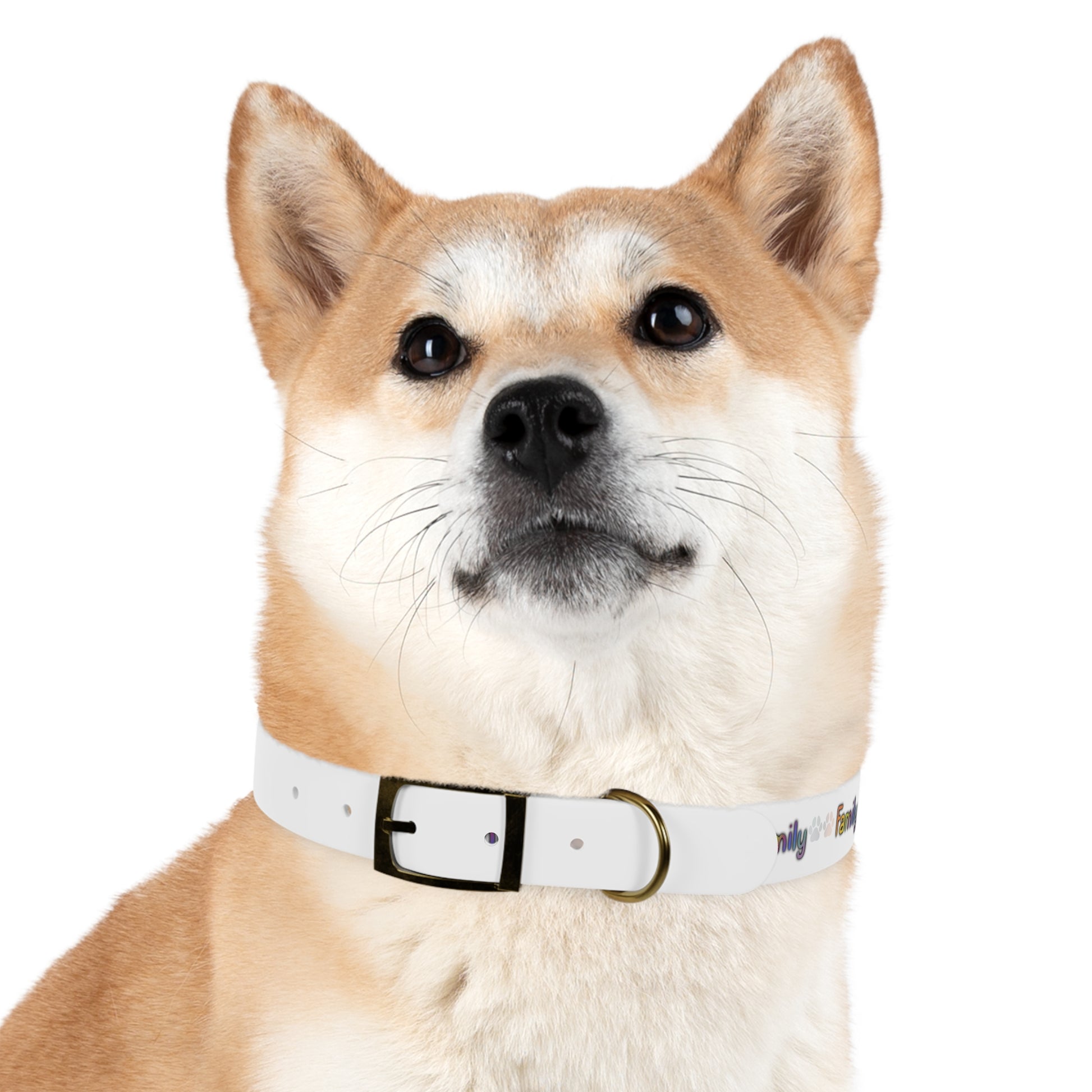 Family Dog Collar - Tales from the Tangle
