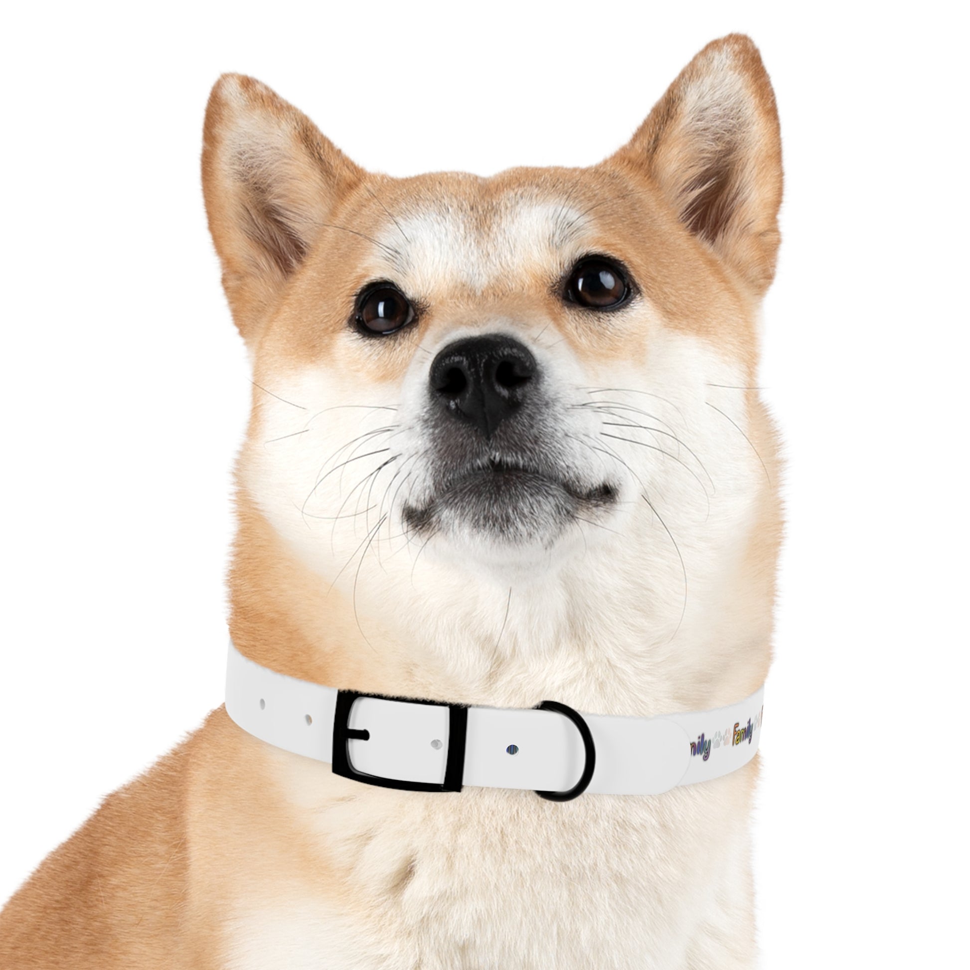 Family Dog Collar - Tales from the Tangle